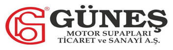 GUNES