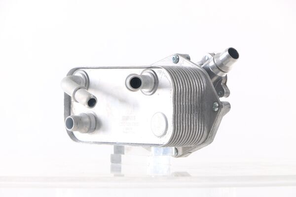 سربنتينة فتيس