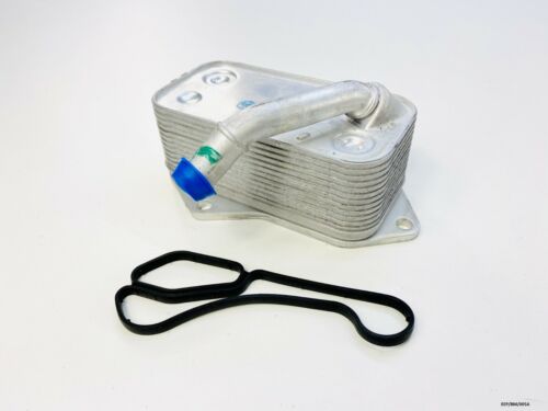 سربنتينة ماتور