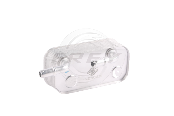 سربنتينة فتيس