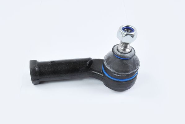 بيض دركسيون شمال