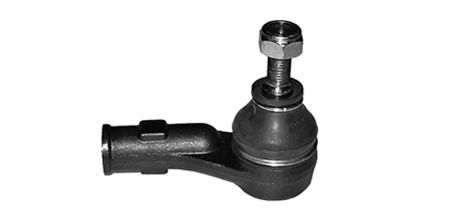 بيض دركسيون شمال