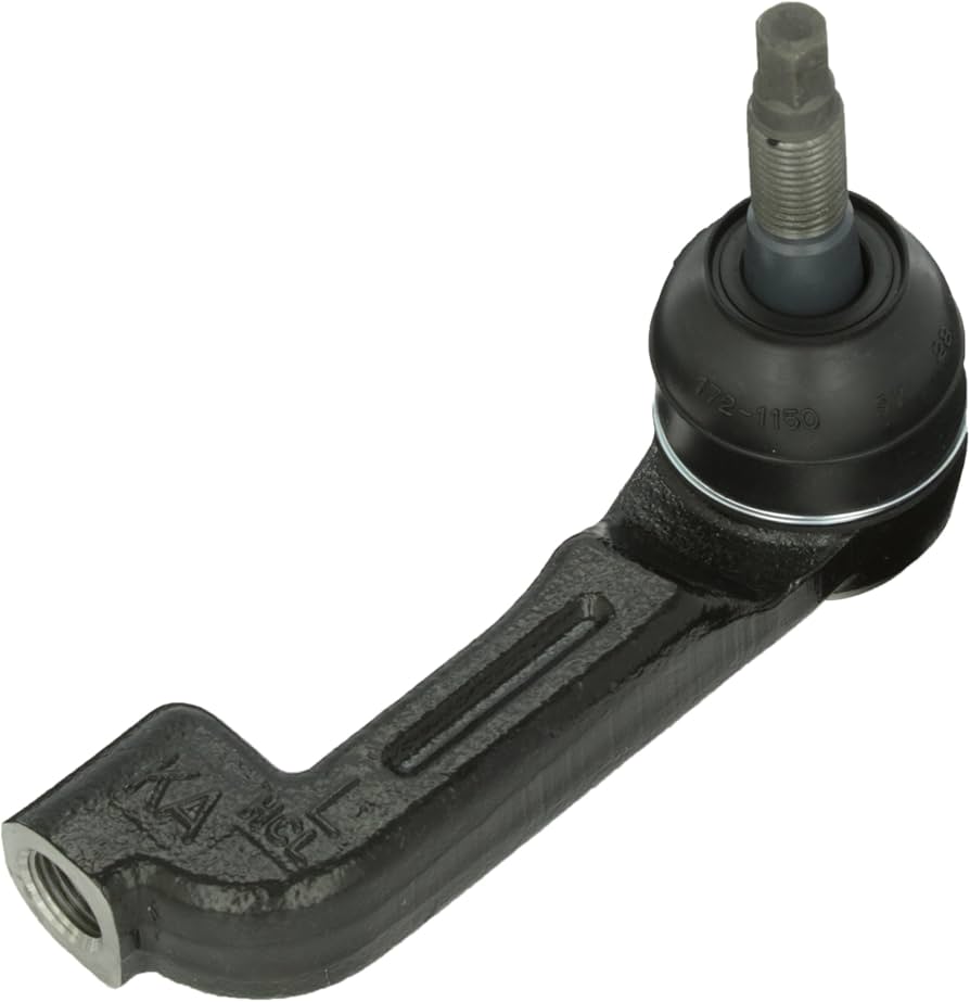 بيض دركسيون شمال