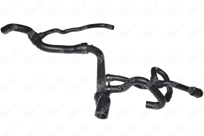 خرطوم شجرة
