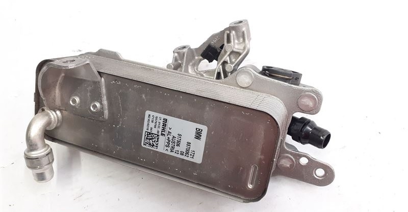 سربنتينة فتيس