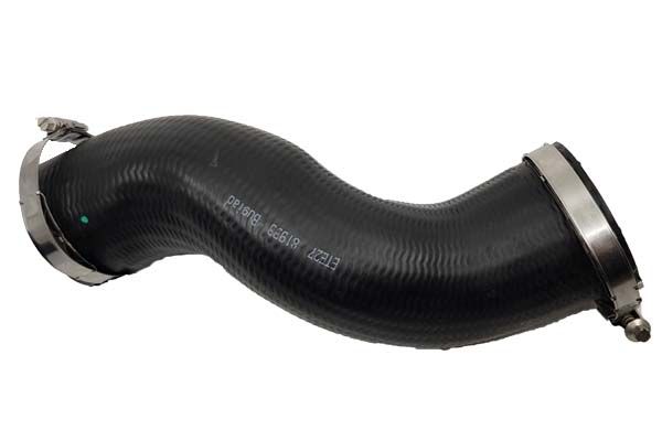 خرطوم سربنتينه تربو