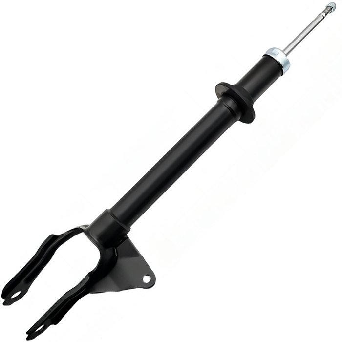 مساعد امامي شمال