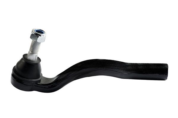 بيض دركسيون شمال