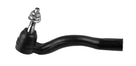 بيض دركسيون شمال