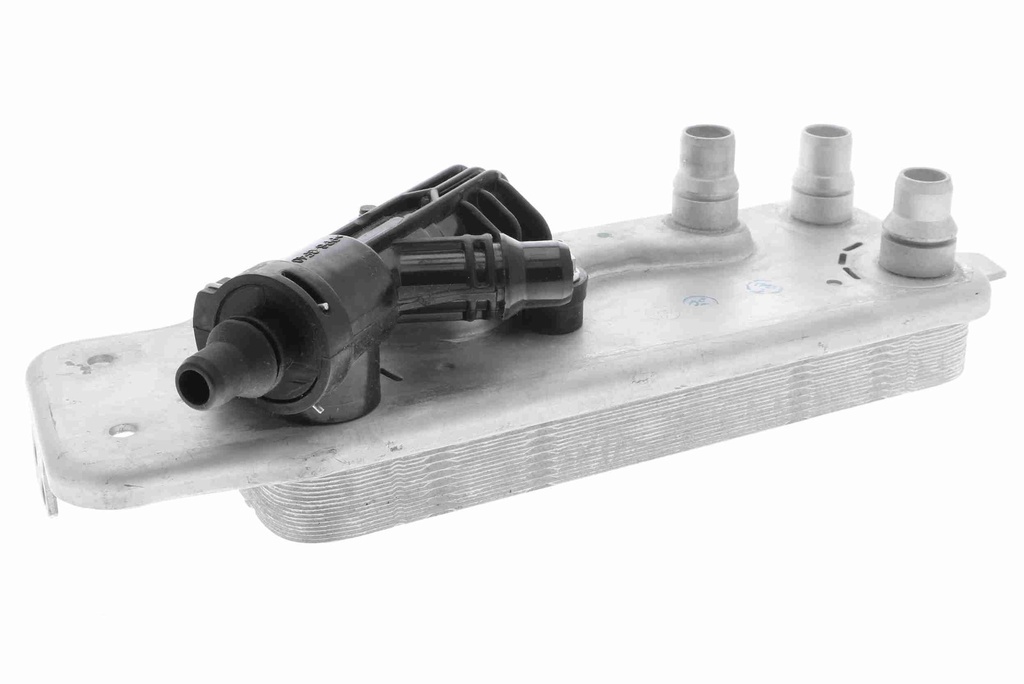 سربنتينة فتيس