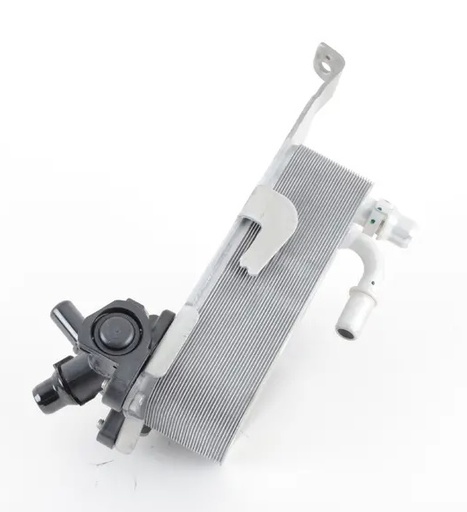 سربنتينة فتيس