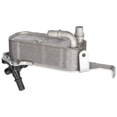 سربنتينة فتيس