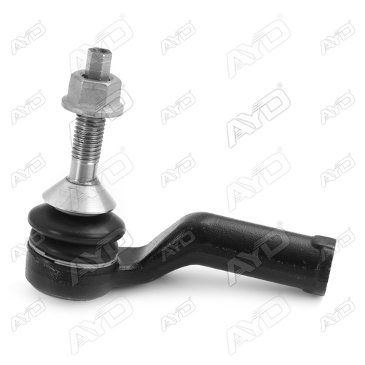 بيض دركسيون شمال