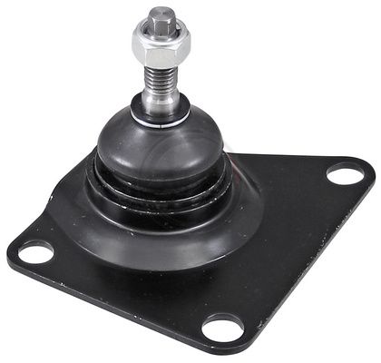 بيض مقص خلفي