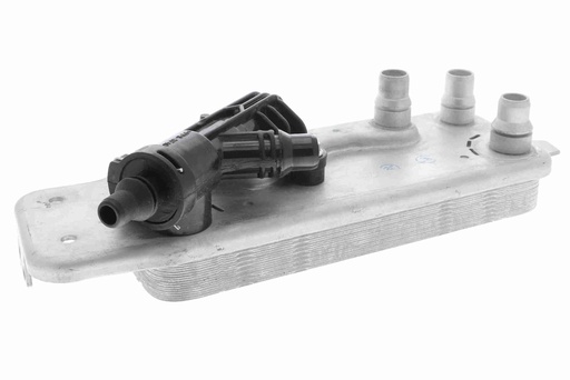 سربنتينة فتيس