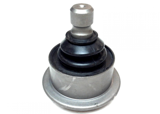 بيض مقص خلفي