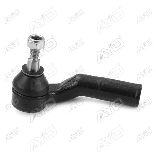 بيض دركسيون شمال