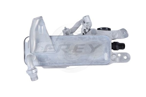 سربنتينة فتيس