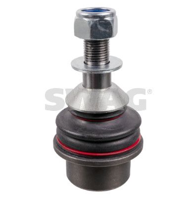 بيض مقص سفلي