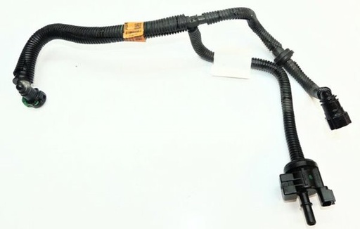 بلف كانستر بالخرطوم