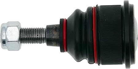 بيض مقص سفلي