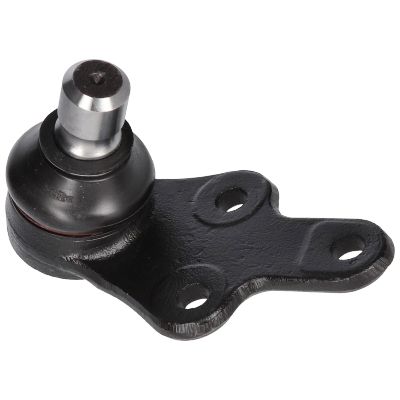 بيض مقص شمال